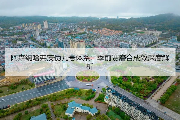 a-sen-na-ha-fu-ci-wei-jiu-hao-ti-xi-ji-qian-sai-mo-he-cheng-xiao-shen-du-jie-xi-2-672.jpg