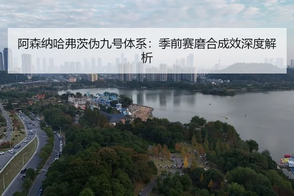a-sen-na-ha-fu-ci-wei-jiu-hao-ti-xi-ji-qian-sai-mo-he-cheng-xiao-shen-du-jie-xi-3-297.jpg