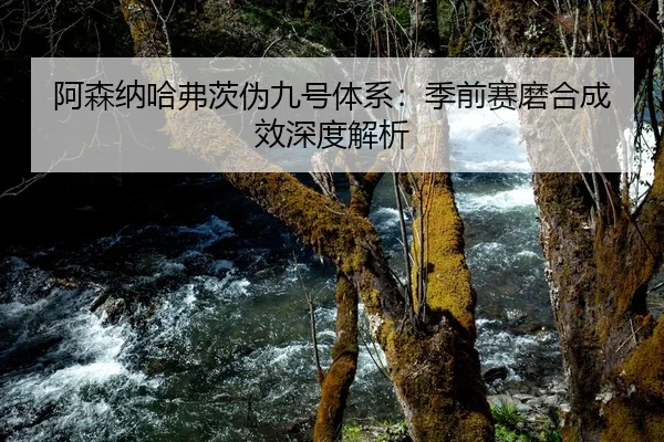 阿森纳哈弗茨伪九号体系：季前赛磨合成效深度解析