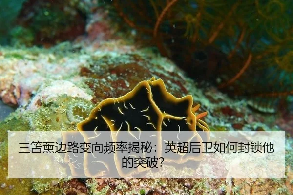 san-shan-xun-bian-lu-bian-xiang-pin-lv-jie-mi-ying-chao-hou-wei-ru-he-feng-suo-ta-de-tu-po-3-530.jpg